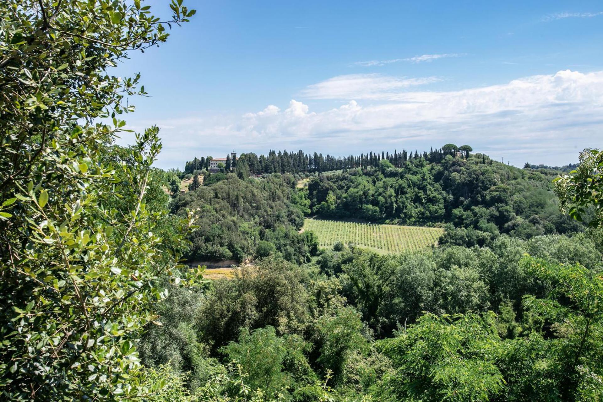 Fattoria Di Colleoli Guest House Luaran gambar